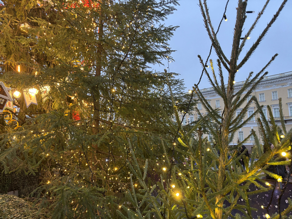 Фото: Neva.Today