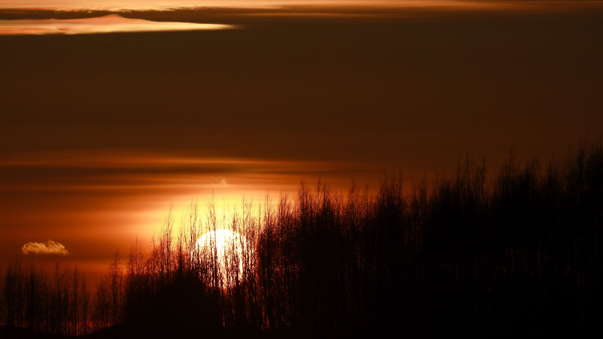 Владимир Смирнов/ТАСС