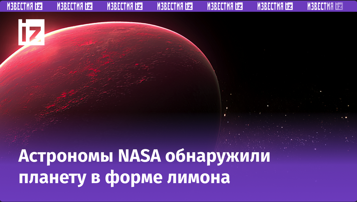 Фото / скриншот видео © РЕН ТВ 
