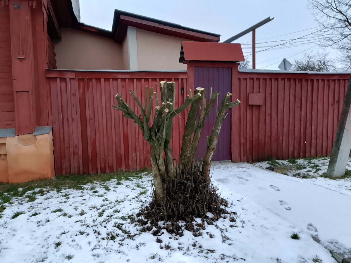 То, что осталось