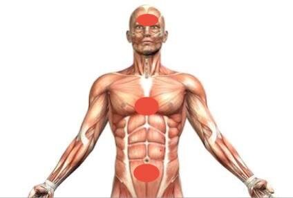 Цигун для жизни