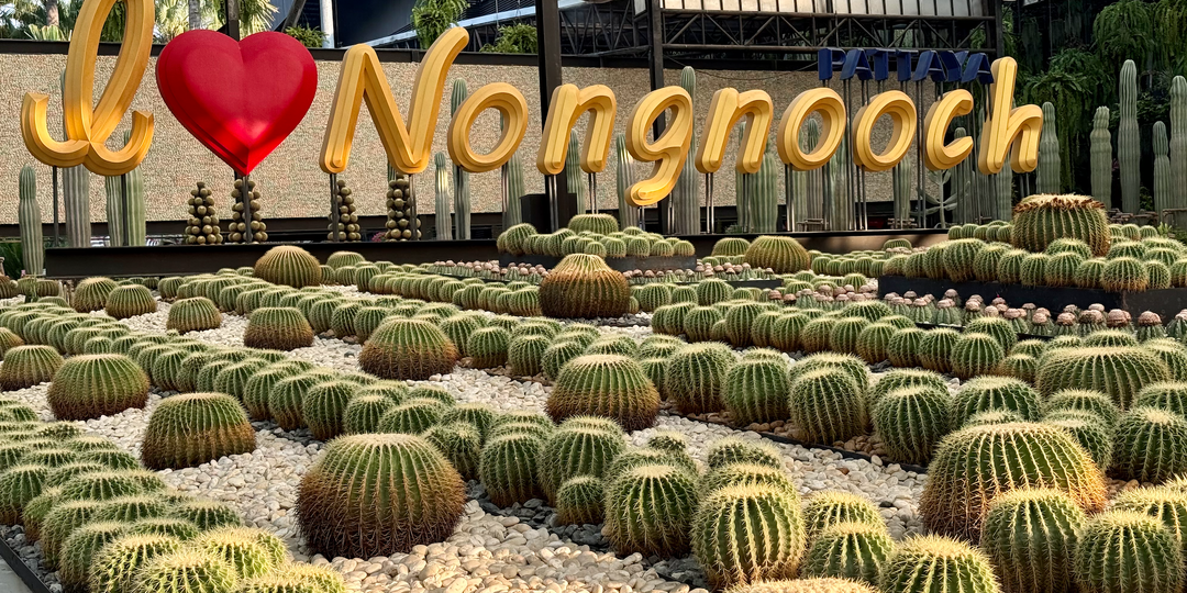 Зимовка в Таиланде, Паттайя: самостоятельно едем в сад Нонг Нуч