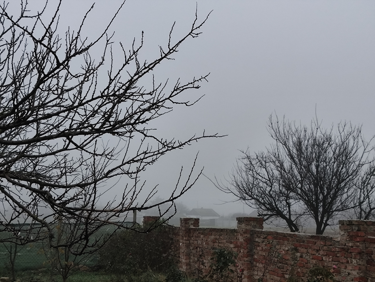 Утро туманное..