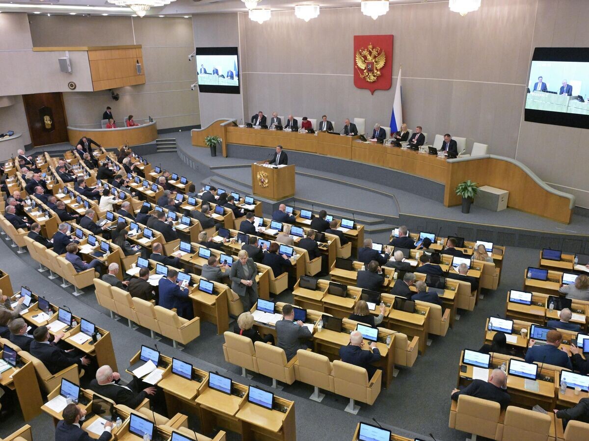    Пленарное заседание Госдумы РФ | © РИА Новости / Владимир Федоренко