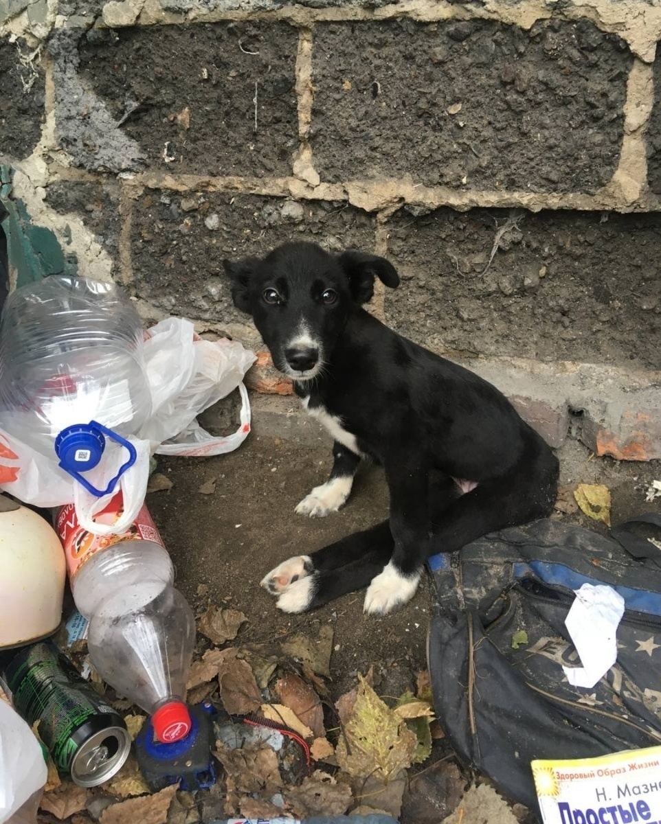 Тося 3 года назад.