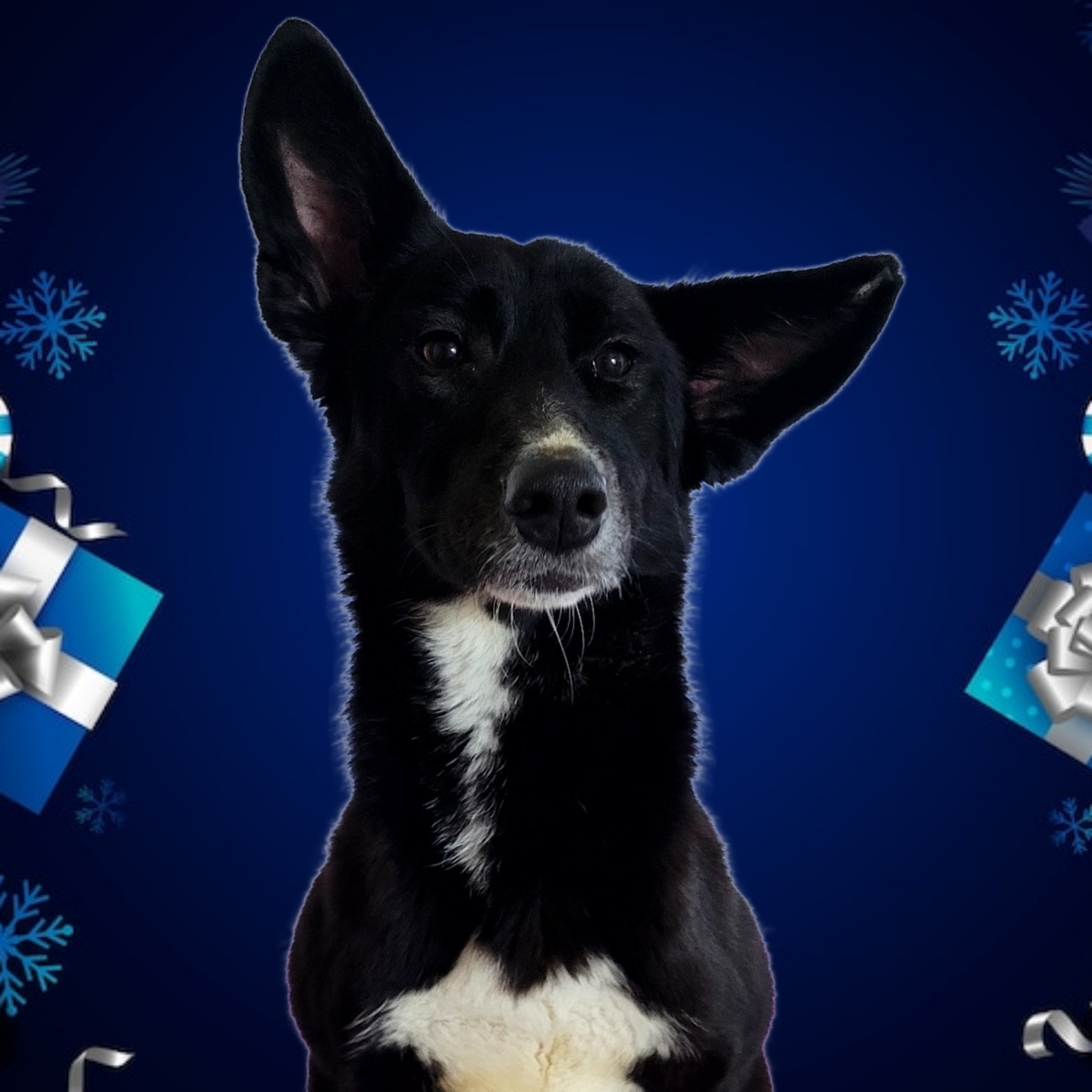 Тося сейчас