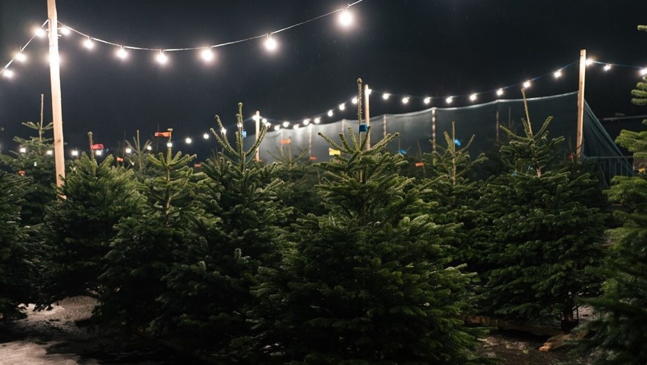    Автор фото: Stock story / Shutterstock / FOTODOM