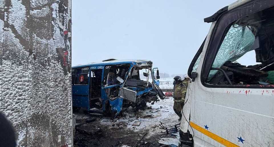    МВД по Омской области / Telegram