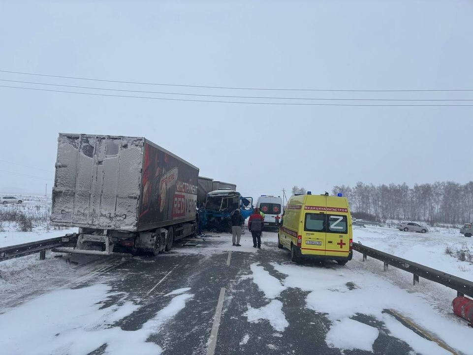     МВД по Омской области / Telegram