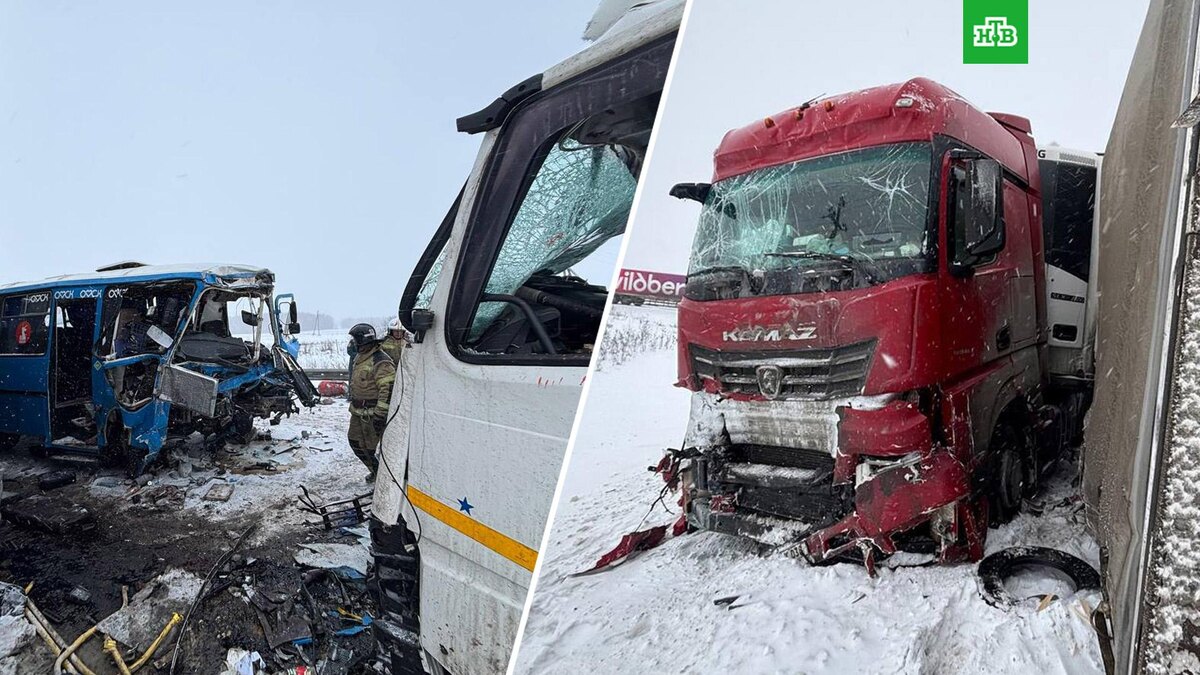    Фото: omsk_police / t.me