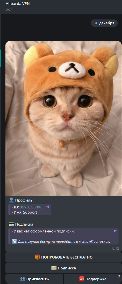 Главное меню бота