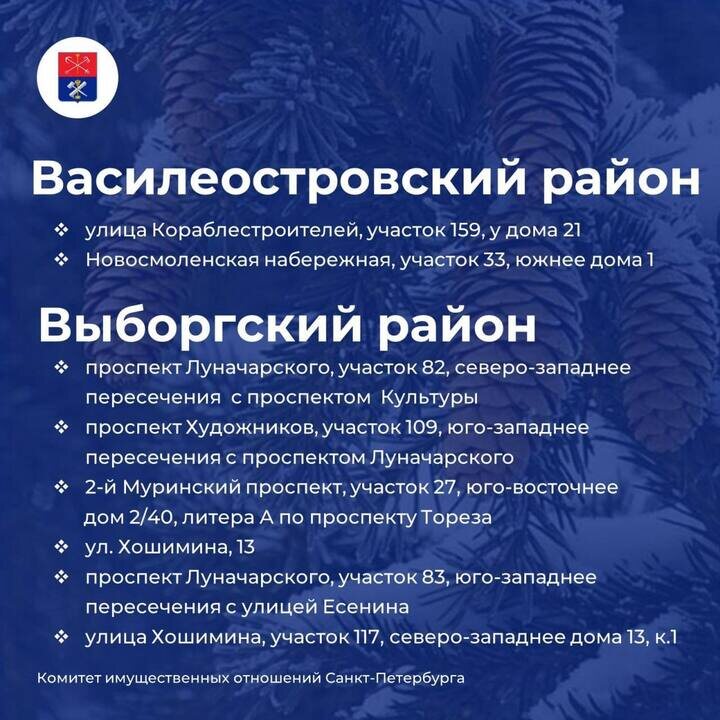     Фото: КИО Петербурга.