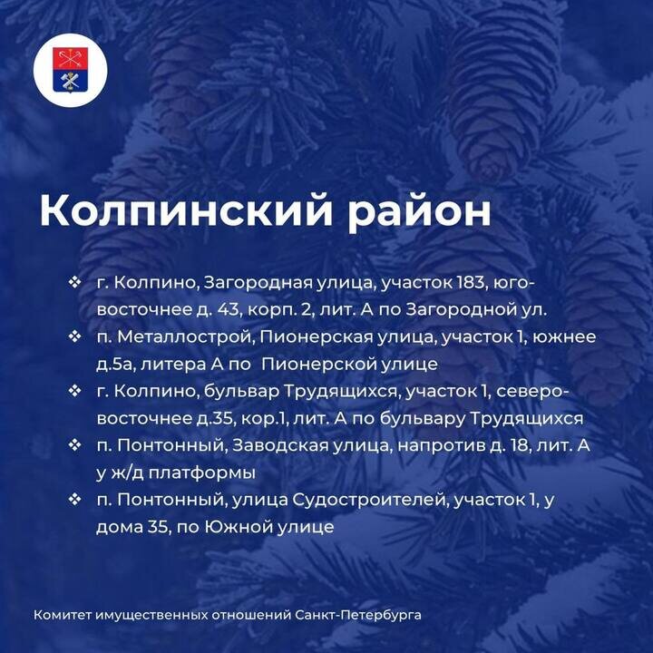     Фото: КИО Петербурга.