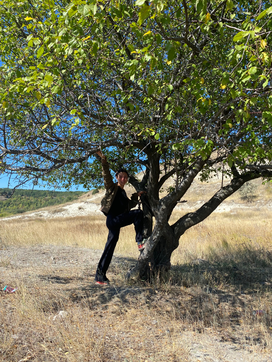 Не пытайся залезть на дерево, которое не под силу тебе, оглядись - вокруг много деревьев 🌳 🌳 🌳 