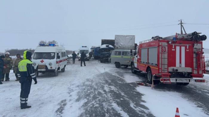 Обложка © Telegram / Омская полиция