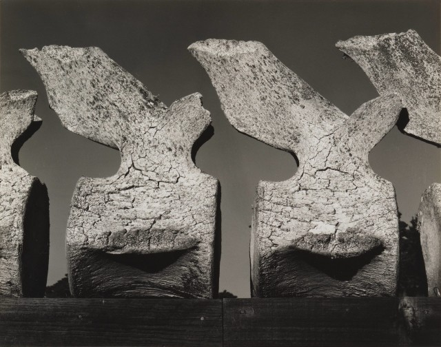 Китовые позвонки, 1934.