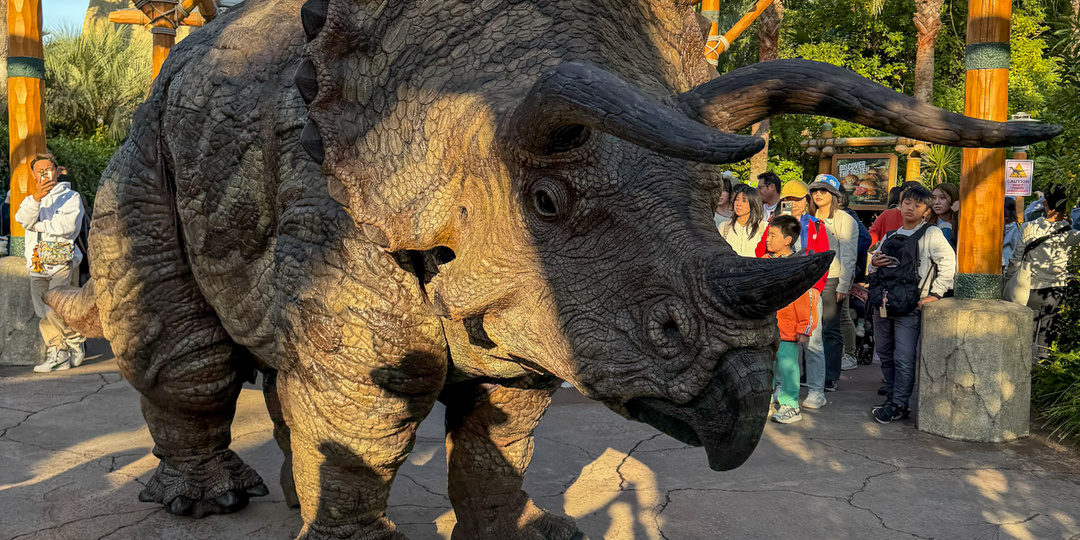 Фабрика впечатлений: как проходит день в Universal Studios Japan