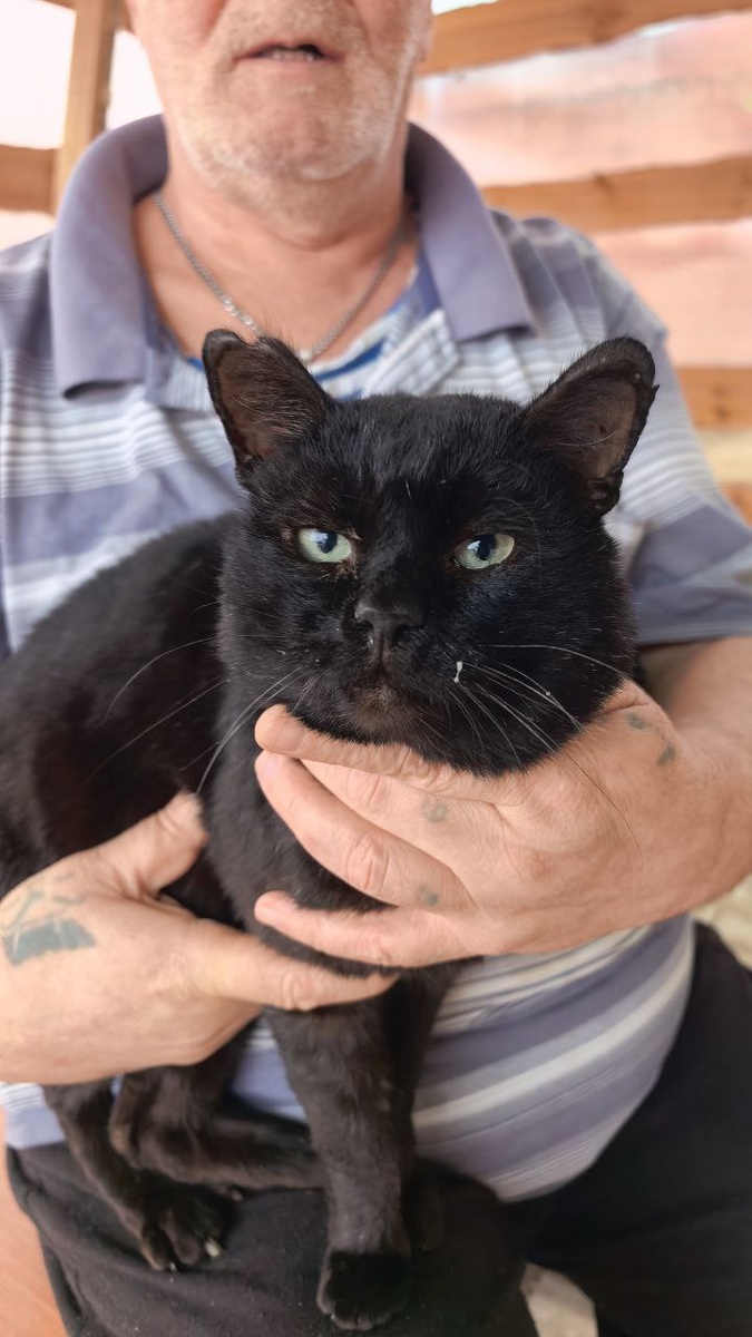 Трудник с любимым котом. Фото из архива автора