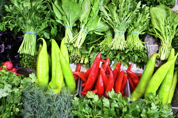 Фото: РИА Новости/Сергей Бобылев