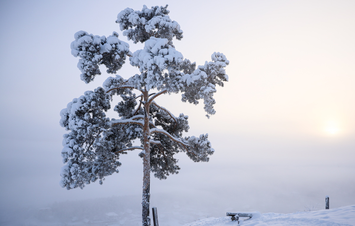 Вадим Скрябин/ТАСС