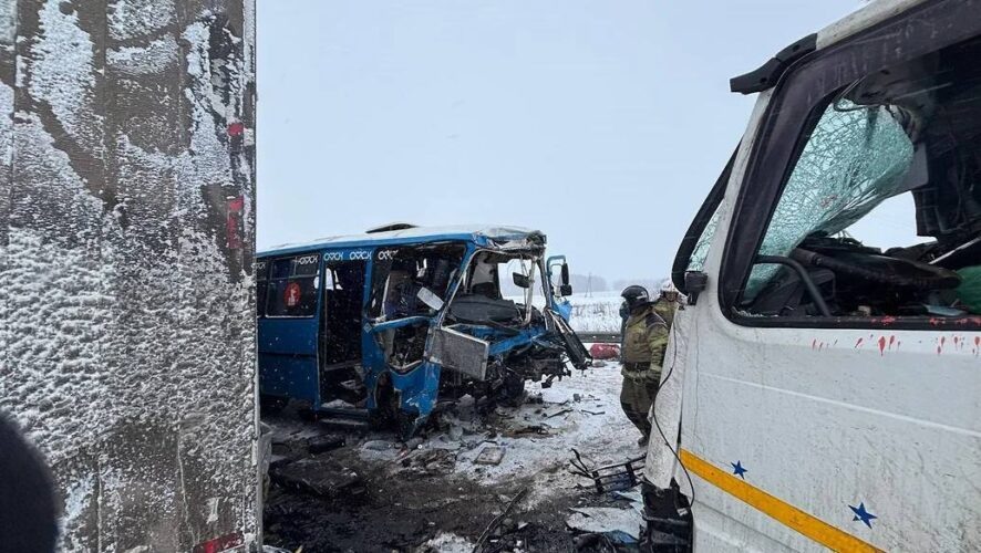    Фото: соцсети