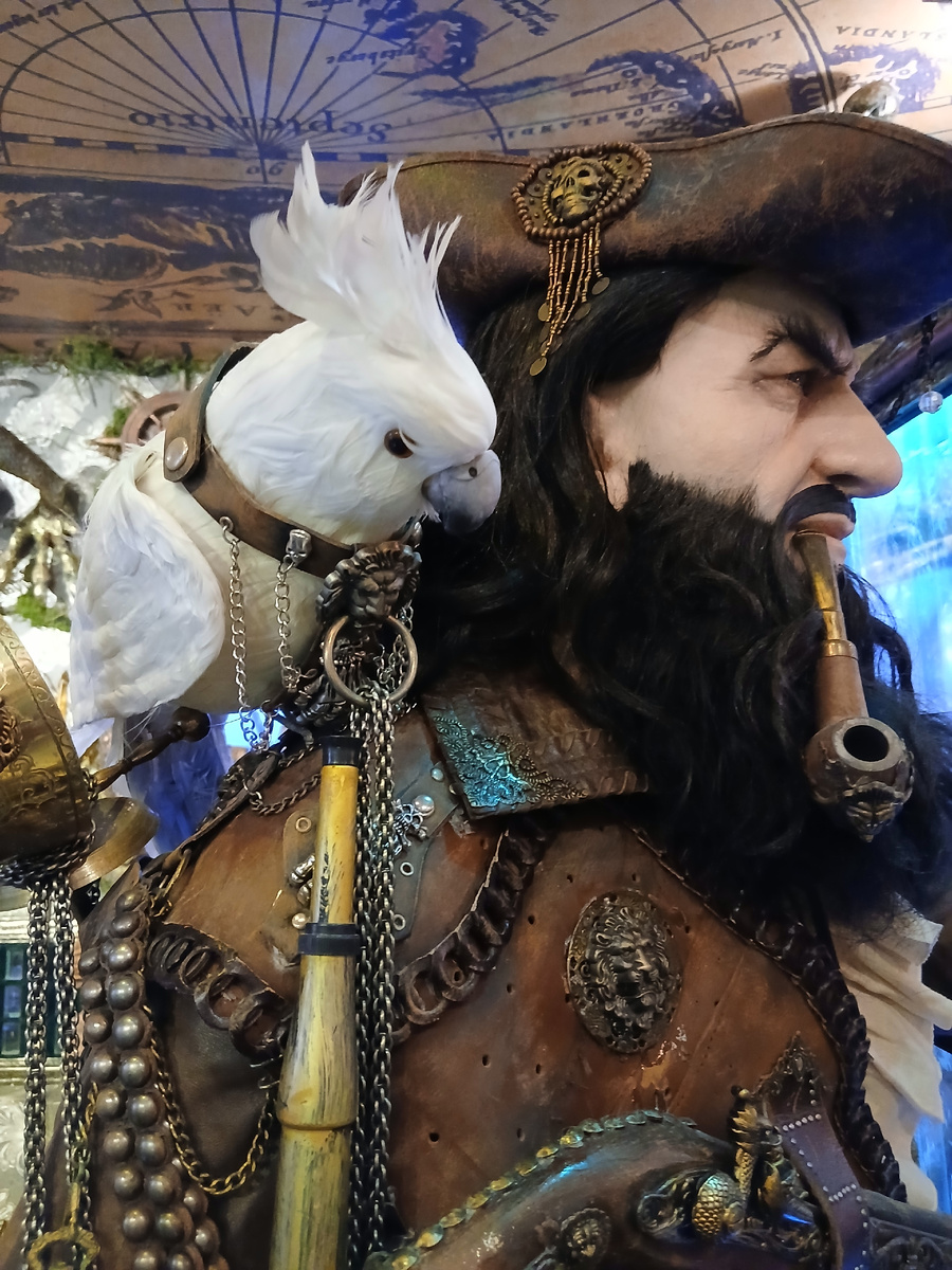 Какая амуниция у попугая!