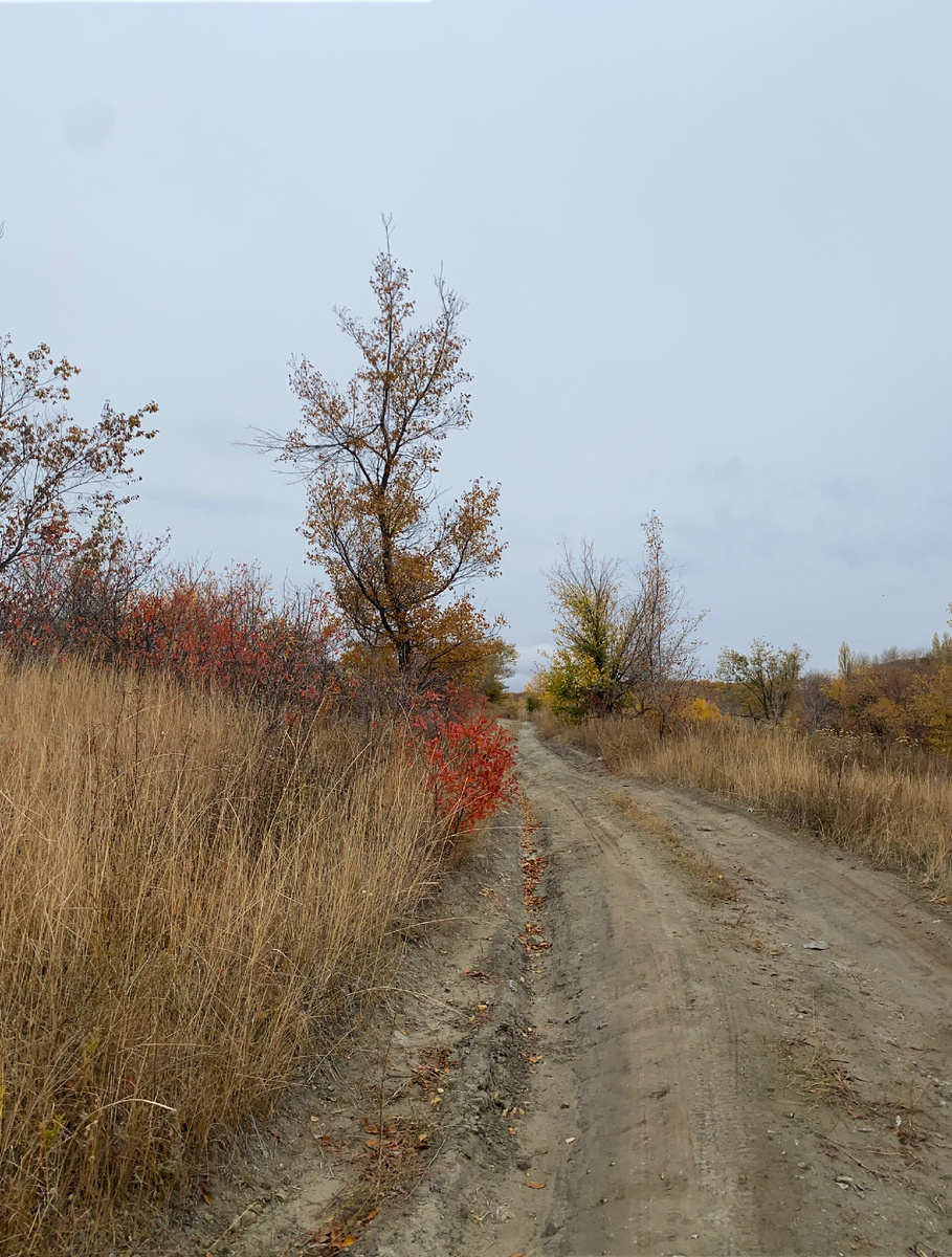 Две дороги, 🛣