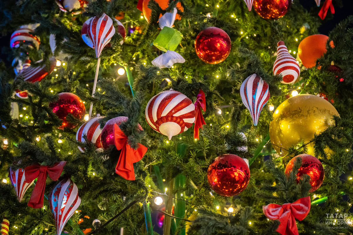 Фото: © Владимир Васильев / «Татар-информ»