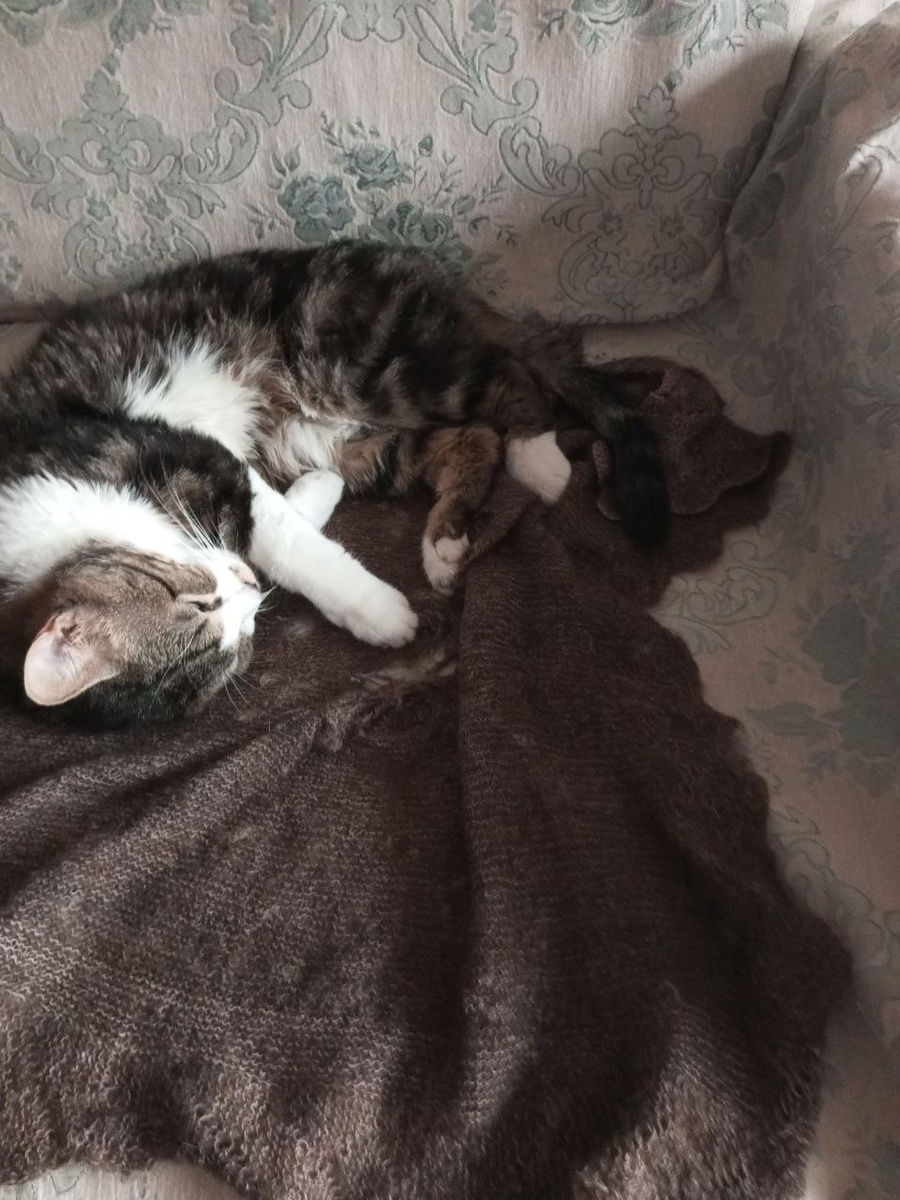 Поели? Теперь можно и поспать!