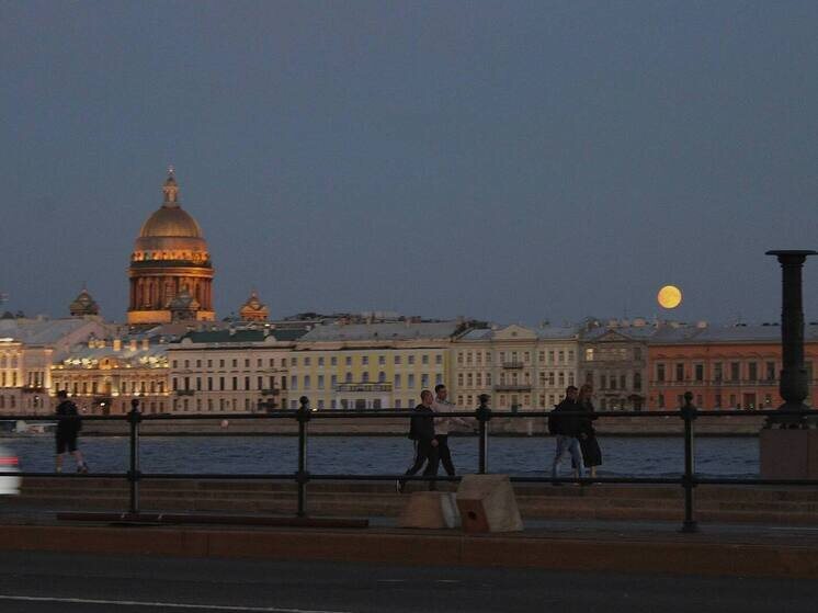     Фото: архив МК в Питере.