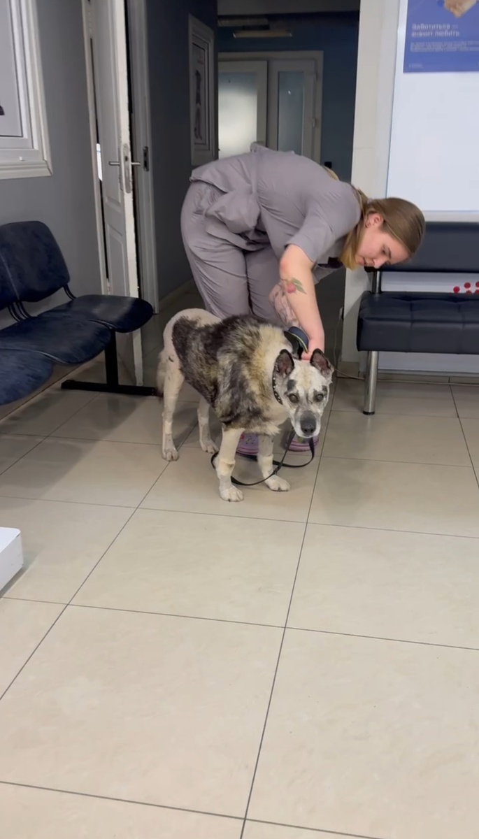 Момент выписки из клиники