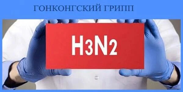    Фото: открытый источник