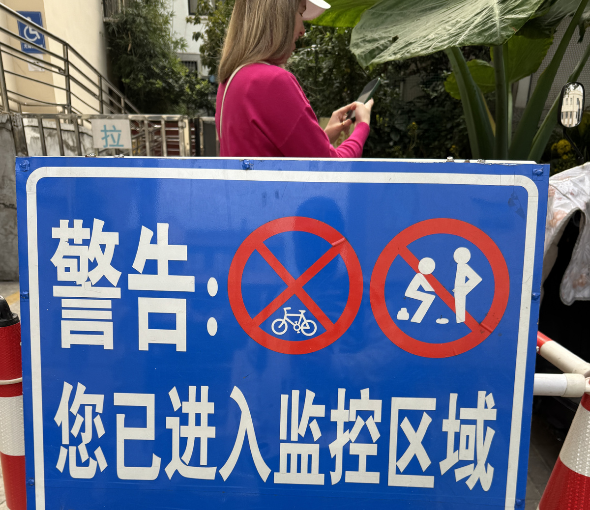 Под фикусом нельзя, ни по большому, ни по маленькому!