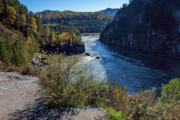 Идёшь себе и идёшь по горной тропе тёплым осенним солнечным днём и 
глядишь по сторонам и забываешь обо всех своих обычных делах ...    

Осень, Чемал впадает в Катунь, Алтай ...   

  