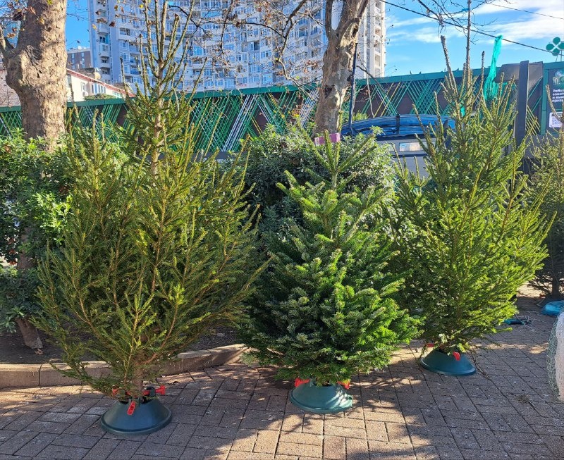    Фото: пресс-служба МЦУ курорта