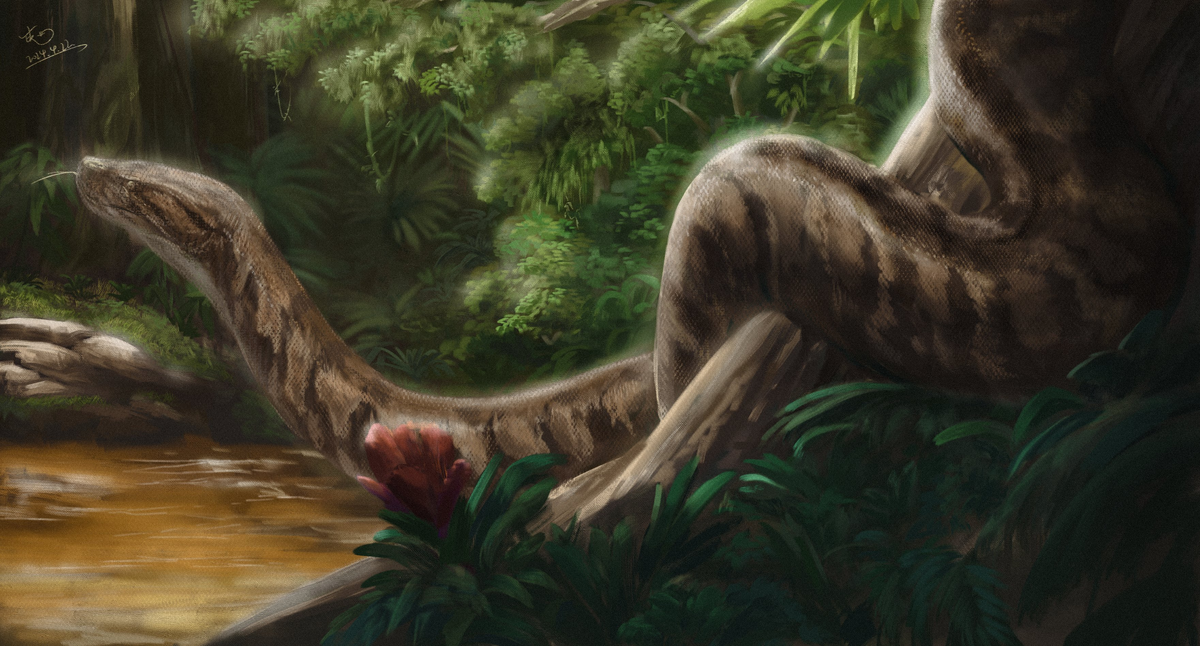 Реконструкция Васуки - крупнейшего мадтсоида, найденного на данный момент; автор - Mr.Snake with aHAT