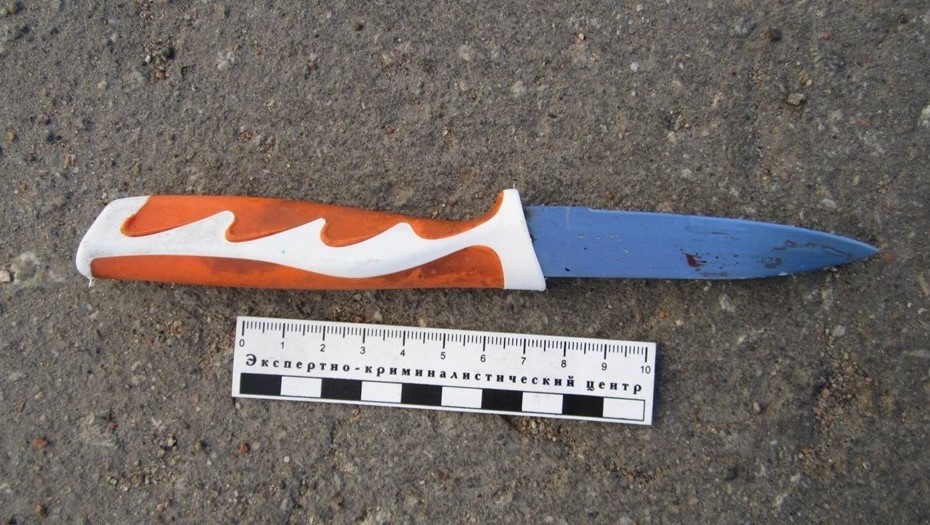    Автор фото: t.me/procspb