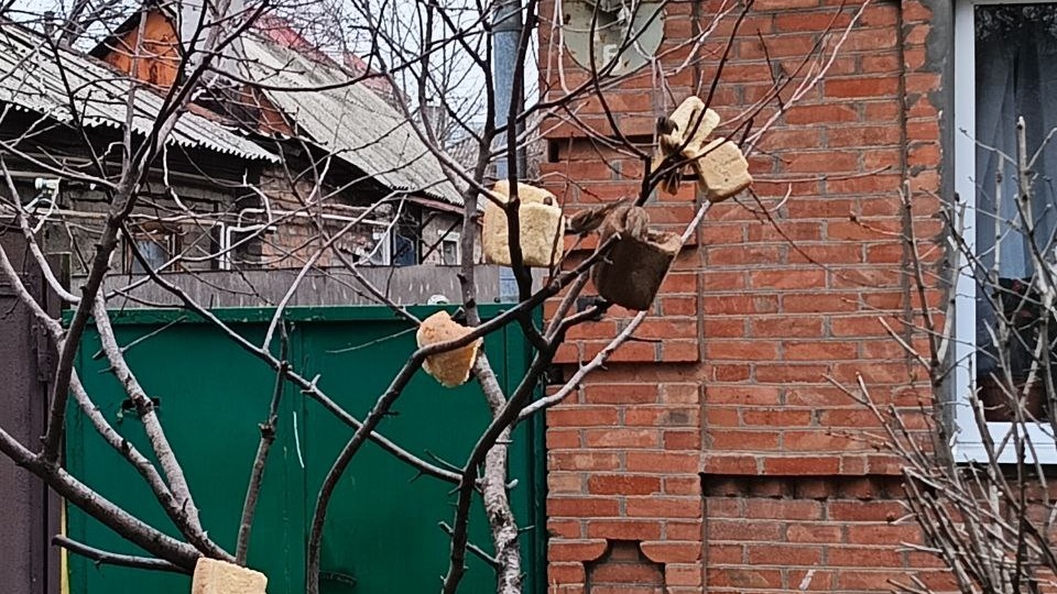 Впервые столкнулся с такими кормушками для птиц