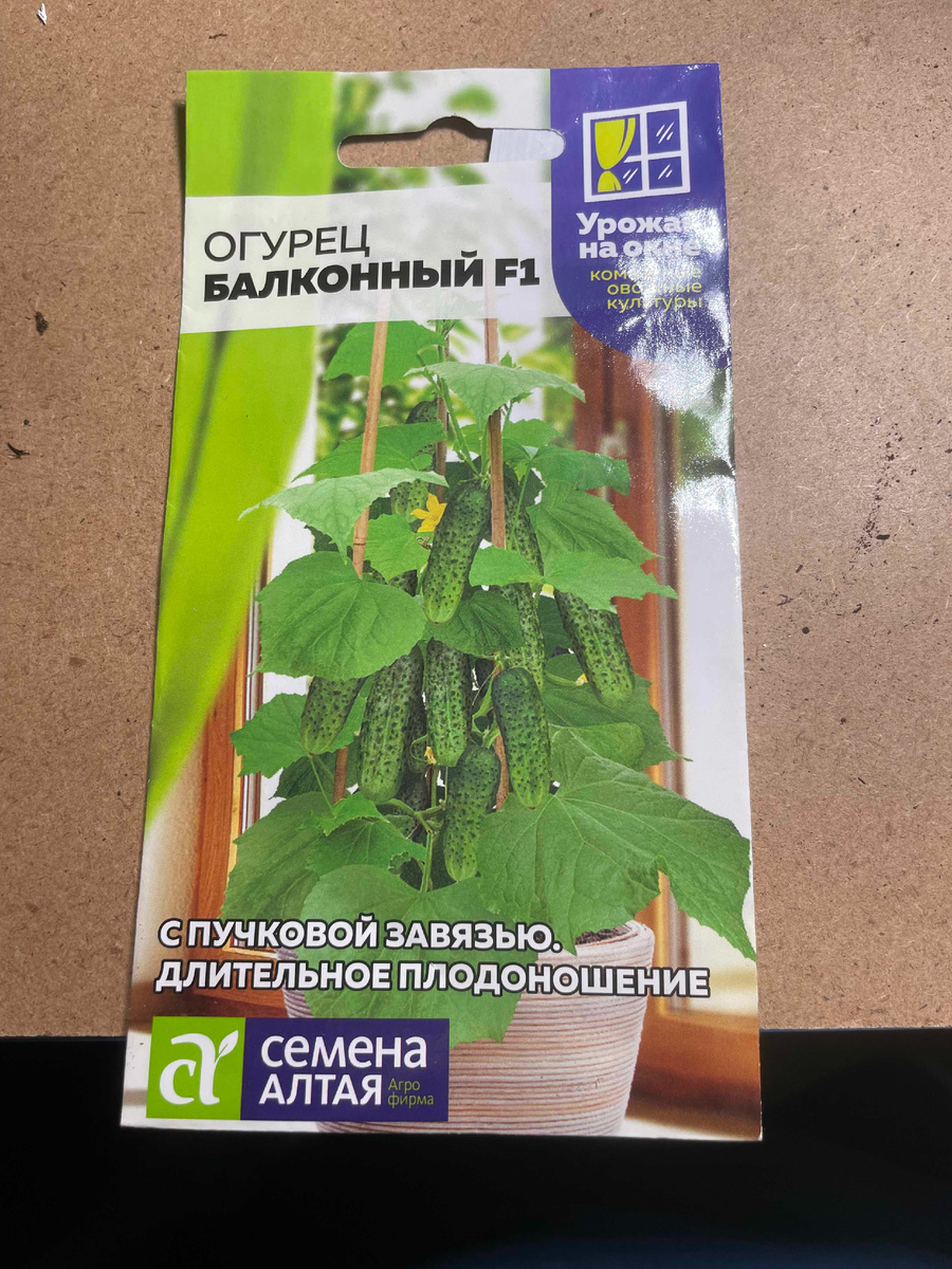 Как тут было устоять от родных сибирских семян.