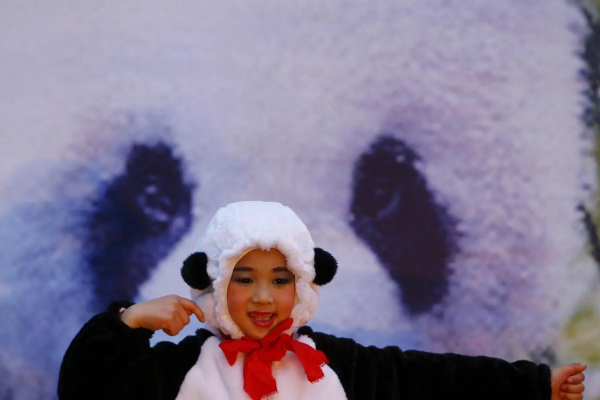 Так в 2008 году на Тайване встречали Туан Туана и Юань Юань.