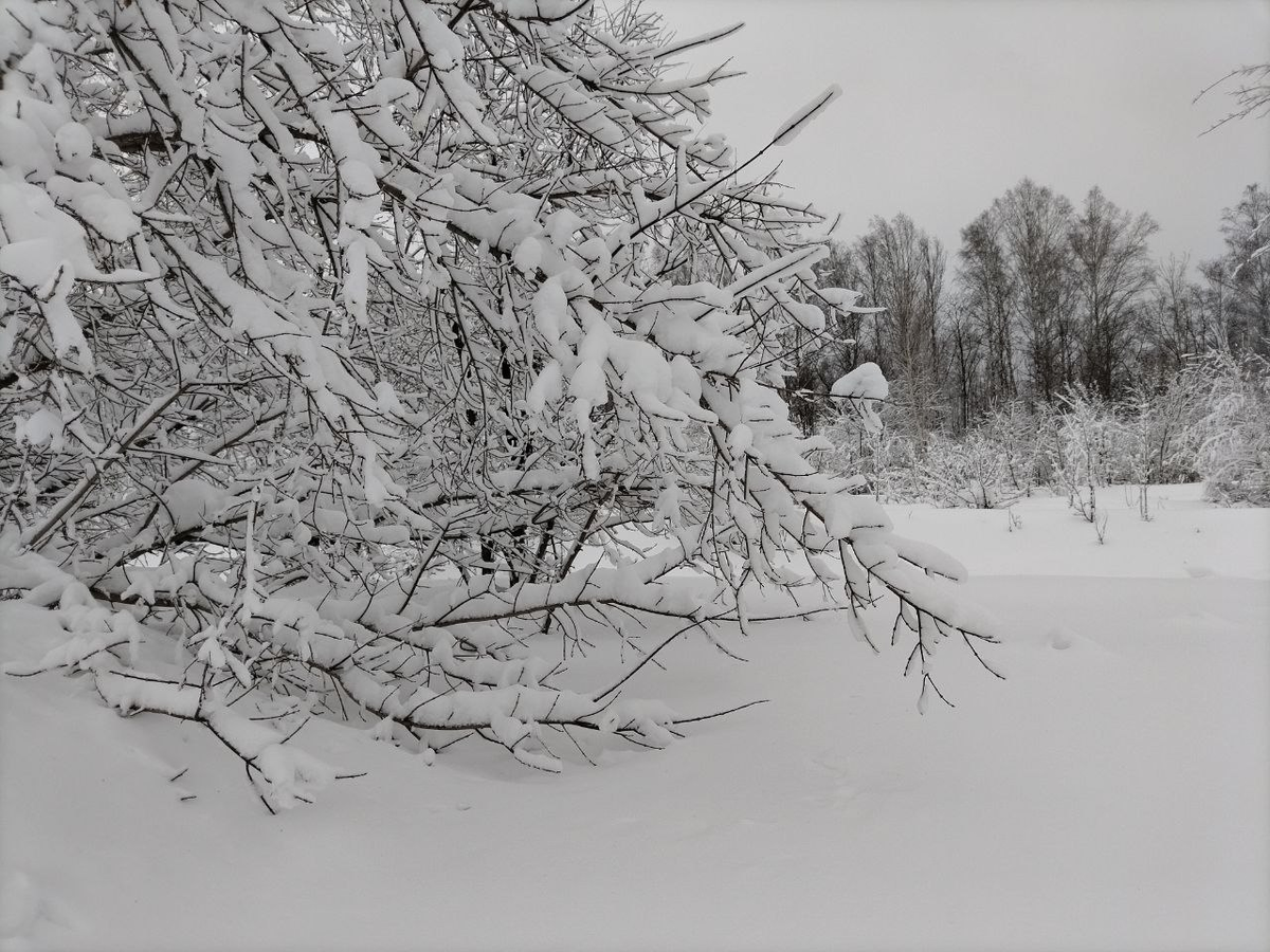 Фото автора.
