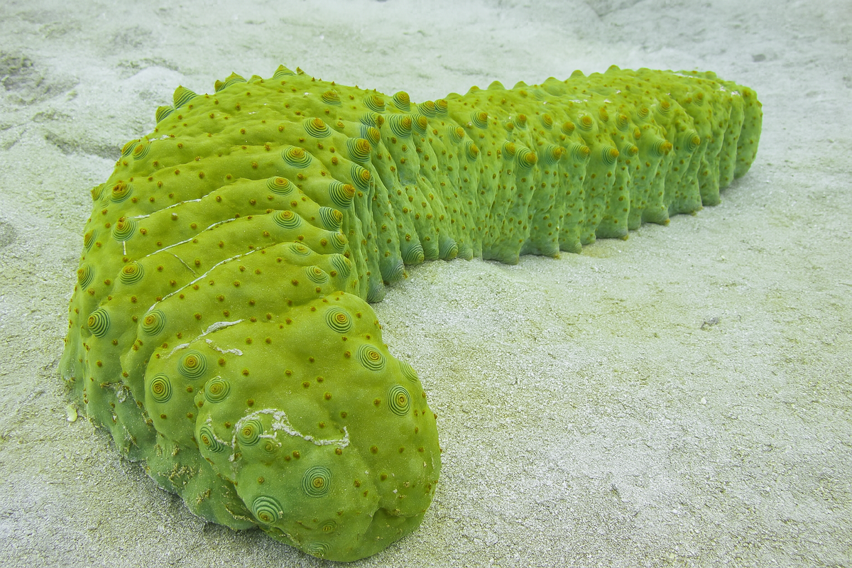 Фотография из интернета