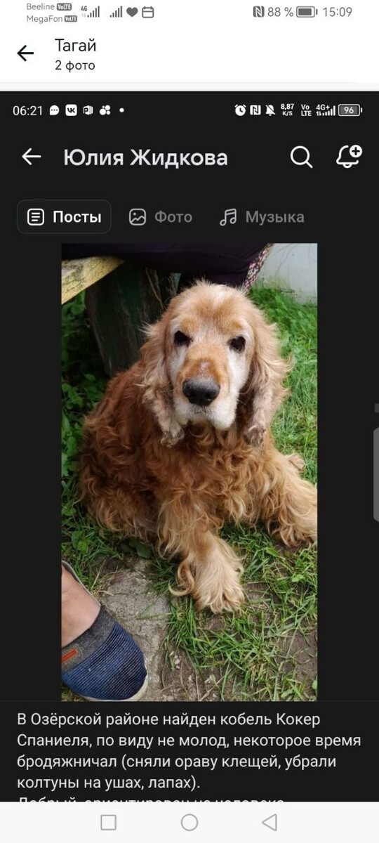 Объявление,которое мы не смогли пройти стороной