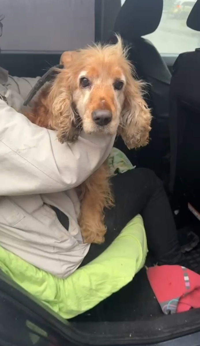 Марсель,в моменте,когда мы его забрали.