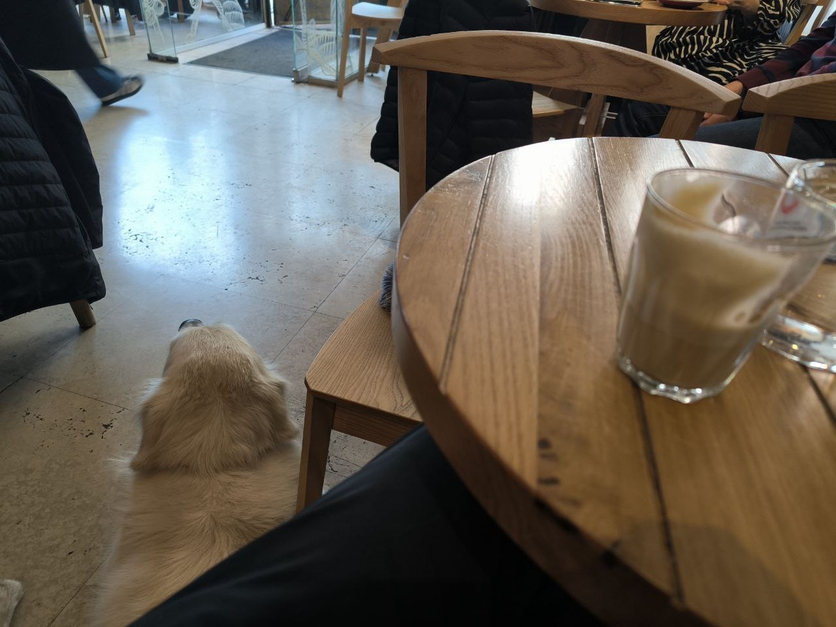 За кафой стабильно хожу с другом