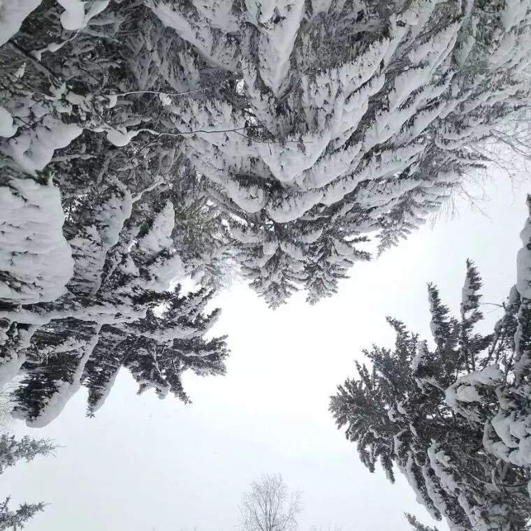    Обложка истории