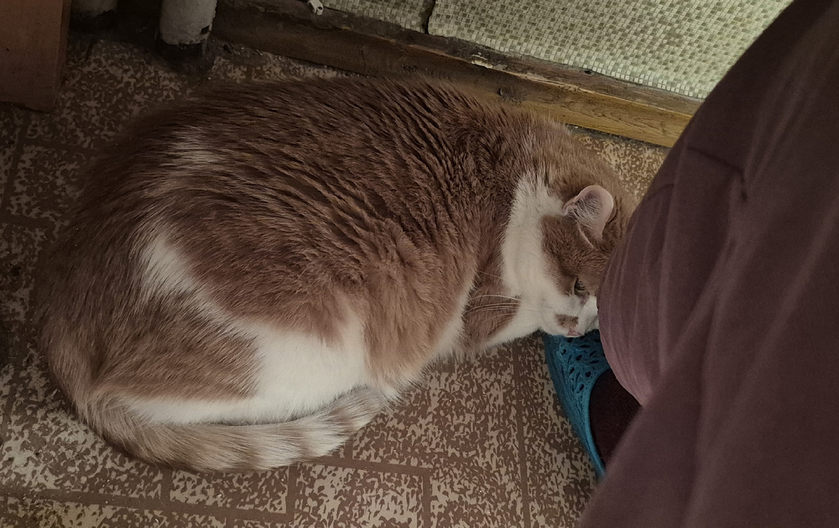 изо всех сил