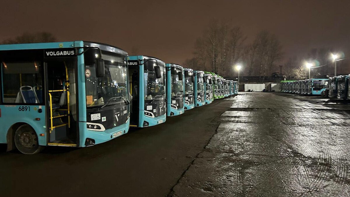    Фото: t.me/nta_avtobus