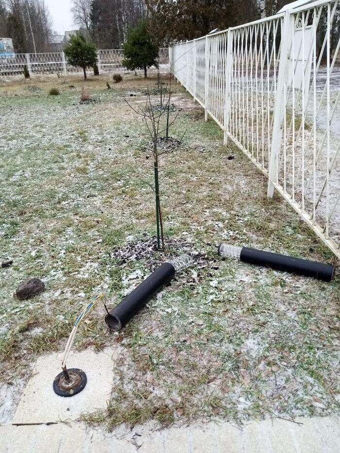 В Тверской области ищут разбившего стекло в алтаре храма мужчину. Фото © VK / Храм прор. Иоанна Предтечи, Захарии и Елисаветы