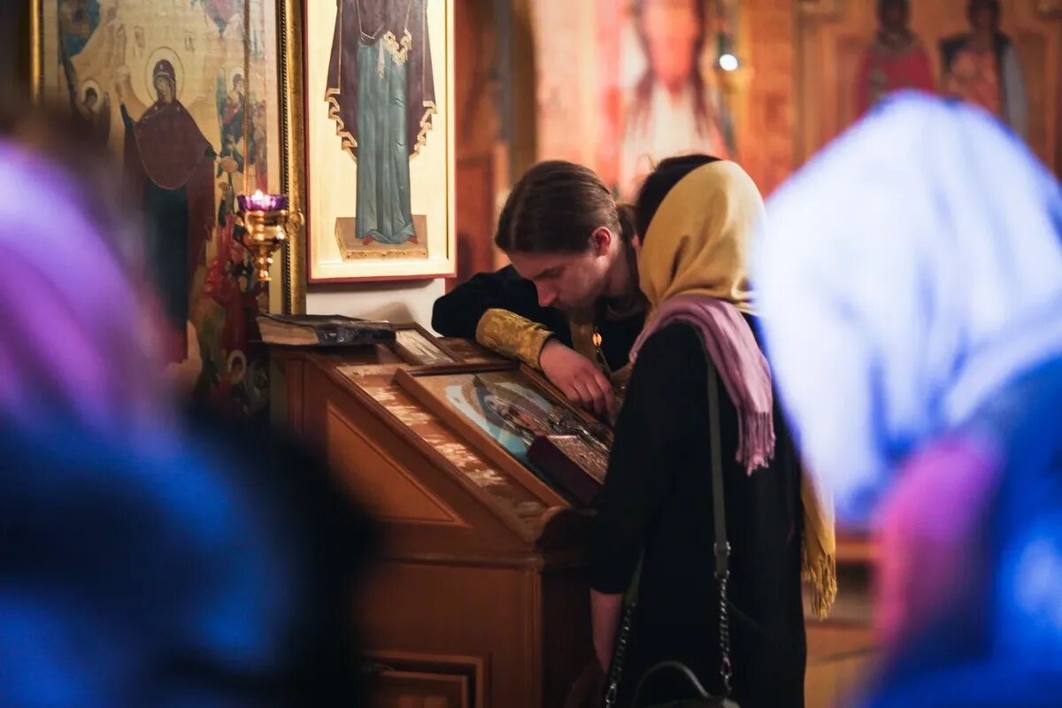 Источник изображения: agrotorf-ltd.ru